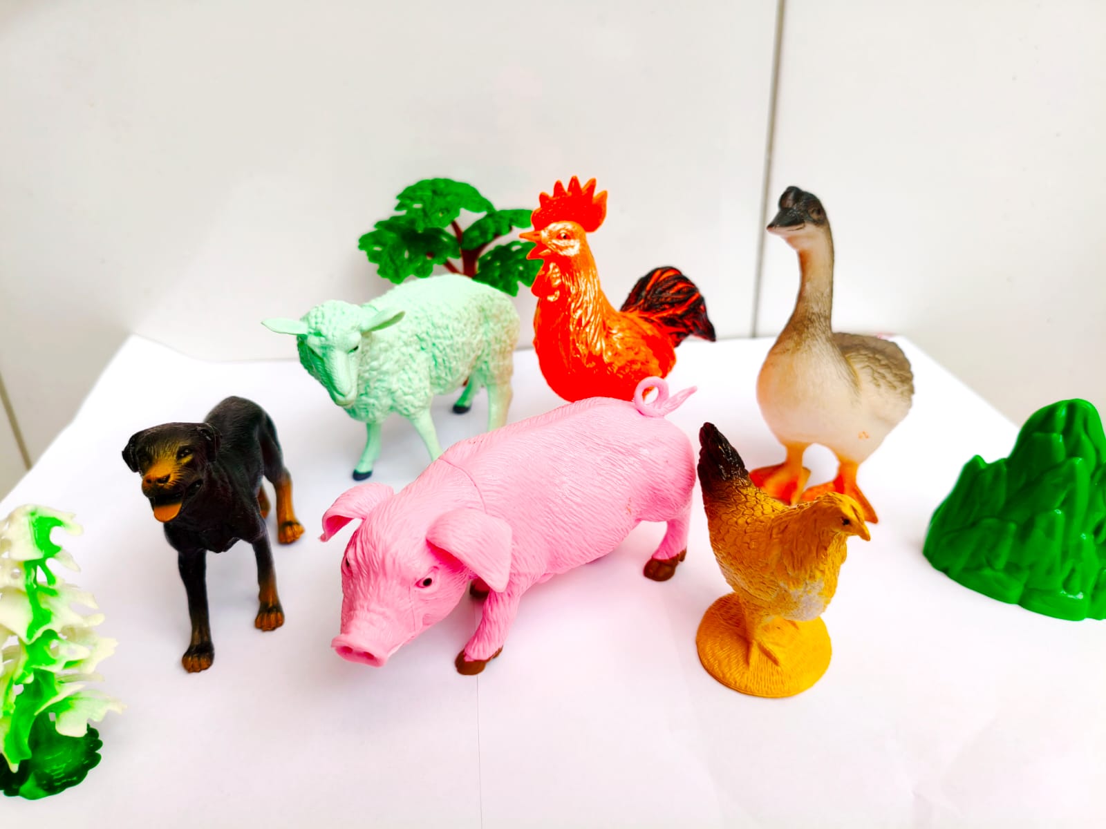 Imagem do WhatsApp de 2025-10-18 à(s) 20.08.57_fdcc6894